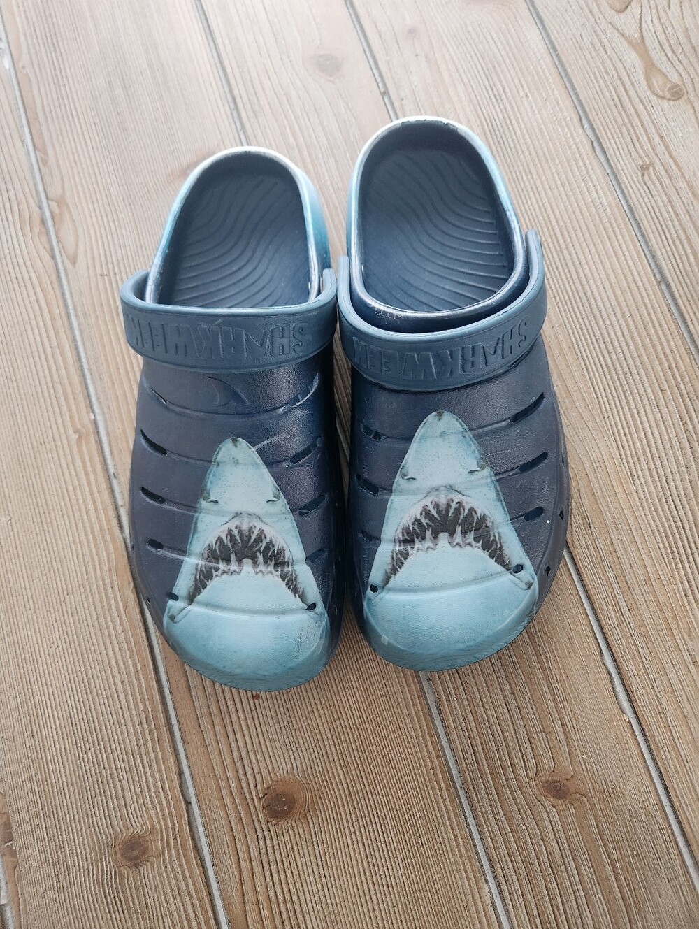 Adult Shark Week Theme Clog Shoes - Blue